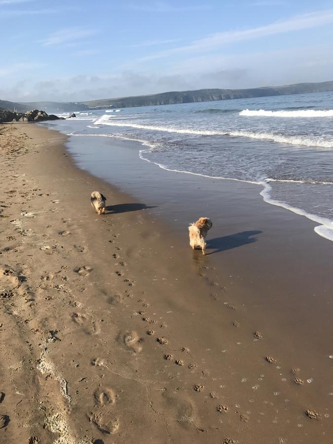 5, Sandleigh Apartment Woolacombe Esterno foto